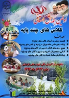 اولین همایش استانی کلاس های چتد پایه  2