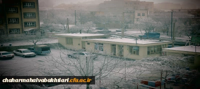 تصاویر دانشگاه دریک روز برفی