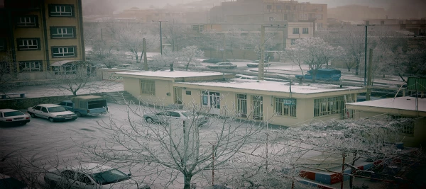 تصاویر دانشگاه دریک روز برفی 2