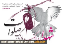 دیدار باخانواده شهدا 2