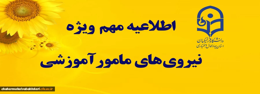 Sun-Flower-HD-Wallpapers-8