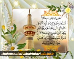 طرح زیارتی پیمان با امام رئوف (ویژه دانشجومعلمان ورودی 1391) 2