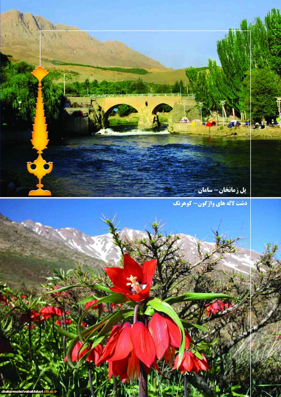 افتتاحیه سومین دوره بالندگی مشاوران کشور  5