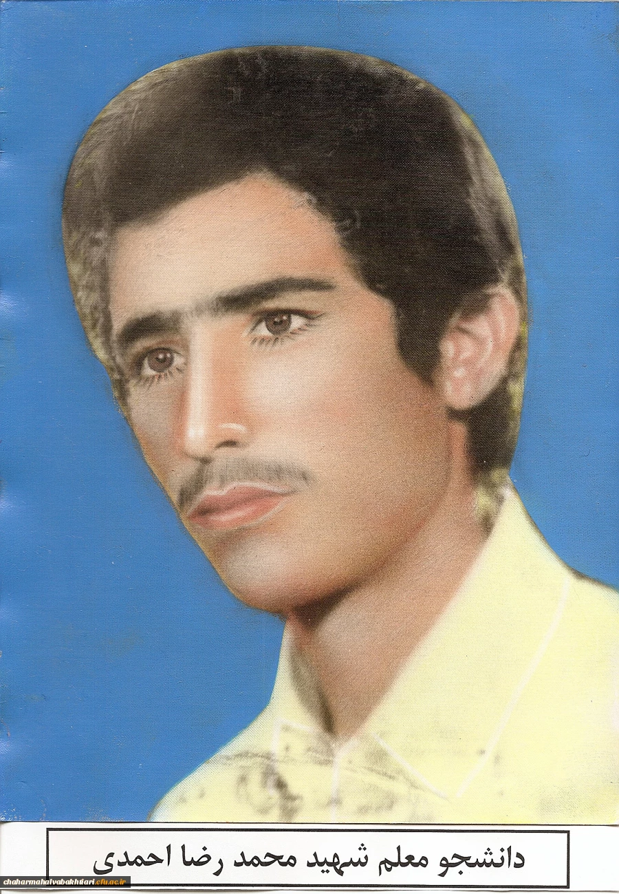 شهید محمد رضا احمدی  2