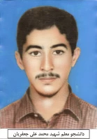 شهید محمد علی جعفریان 2