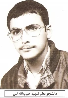 حبیب اله نبی