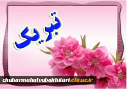 کسب مقام دوم مسابقات مقاله نویسی طرح تابستانه پویش  2