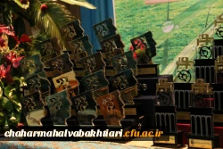 برگزیدگان نخستین جشنواره ملی نوآوری های علمی و پژوهشی دانشجومعلمان معرفی شدند 5