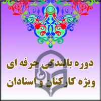 دوره بالندگی حرفه ای  
