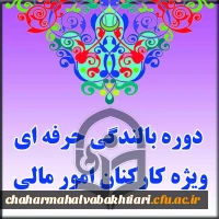 دوره بالندگی حرفه ای 