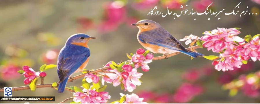 نرم نرمک میرسد اینک بهار خوش به حال روزگار ... 2