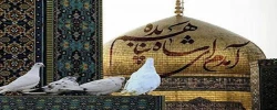 میلاد با سعادت امام هشتم شیعیان  به همه مسلمین مبارک باد 2