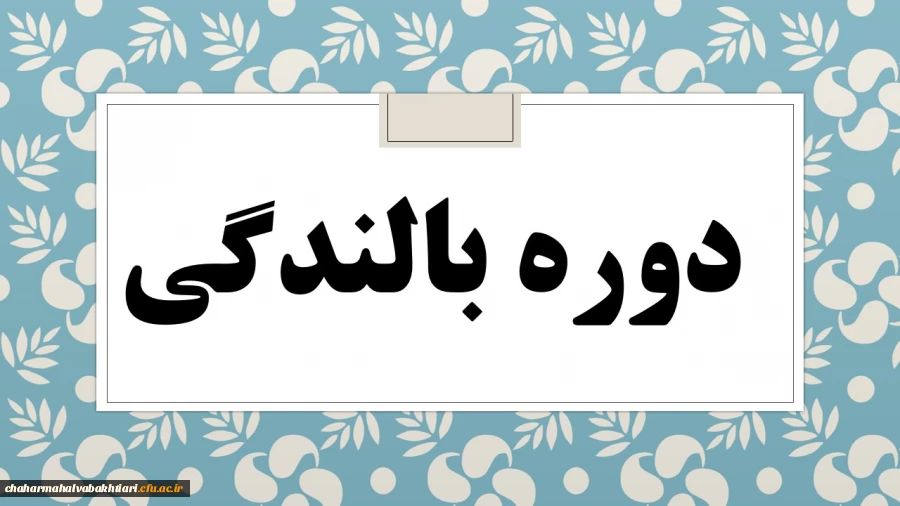 برگزاری دوره بالندگی حرفه ای  با عنوان "تبیین ساحت های سند تحول و جایگاه معلم در تعلیم وتربیت " 2