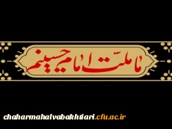 ما ملت امام حسینیم.... 2