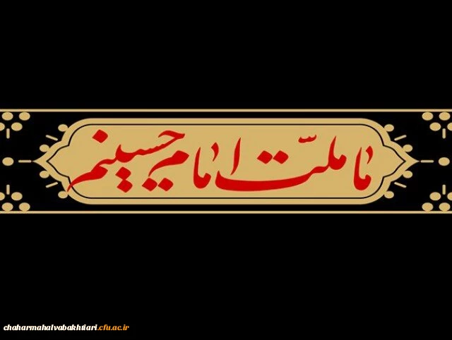 ما ملت امام حسینیم.... 2