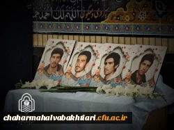 c9fef1f8-8edd-45d9-ae40-28a3c7202f8f