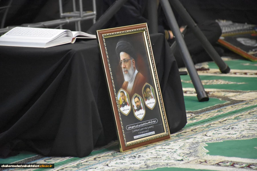 گزارش تصویری 5