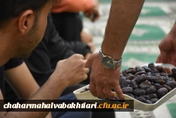 گزارش تصویری 8