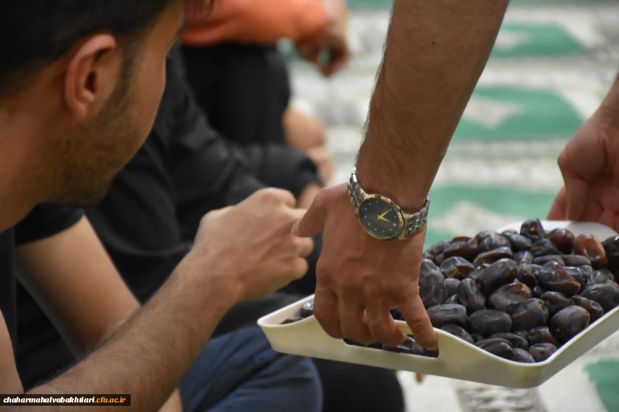 گزارش تصویری 8