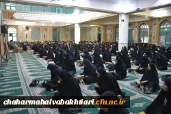 photo15646875240 (1)