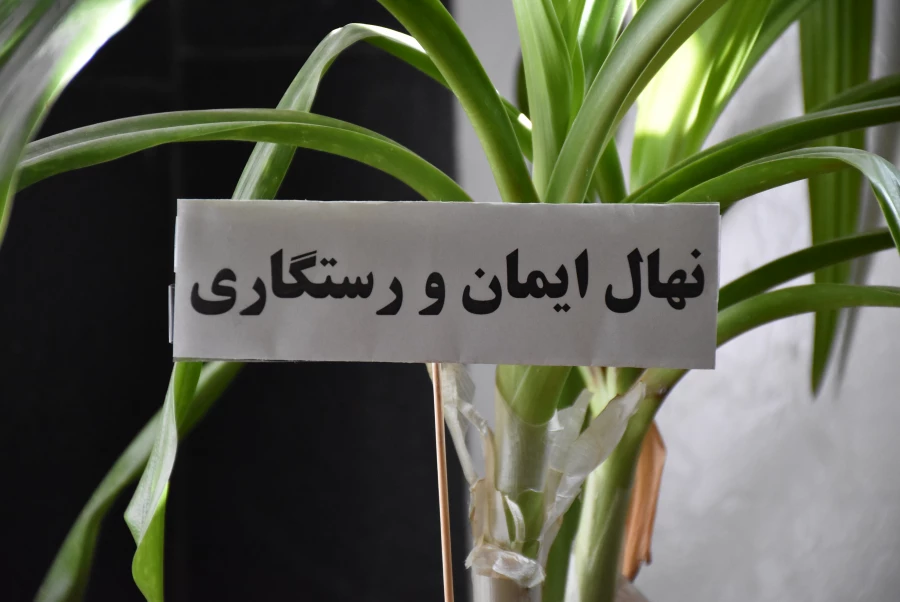 بازدید سرپرست دانشگاه فرهنگیان استان و رئیس دانشکده علوم تربیتی از فضای خوابگاهی مرکز میرداماد شهرکرد 10