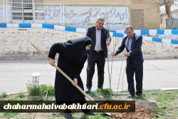 هر نهال، یک شهید؛ هر ریشه، یک مقاومت 2