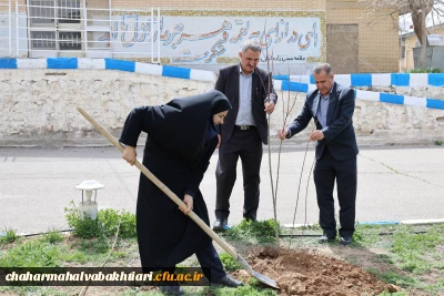 هر نهال، یک شهید؛ هر ریشه، یک مقاومت