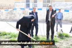 هر نهال، یک شهید؛ هر ریشه، یک مقاومت 4