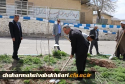 هر نهال، یک شهید؛ هر ریشه، یک مقاومت 5