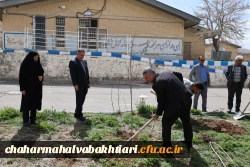 هر نهال، یک شهید؛ هر ریشه، یک مقاومت 6