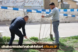 هر نهال، یک شهید؛ هر ریشه، یک مقاومت 10