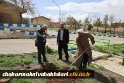 هر نهال، یک شهید؛ هر ریشه، یک مقاومت 12