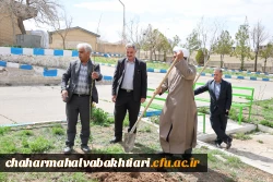 هر نهال، یک شهید؛ هر ریشه، یک مقاومت 14