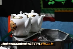 فعالیت موکب دانشگاه فرهنگیان 